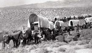 Wagon Train