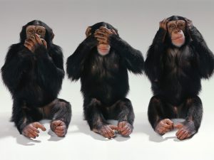 See-no-evil-hear-no-evil-speak-no-evil-monkeys-14750406-1600-1200